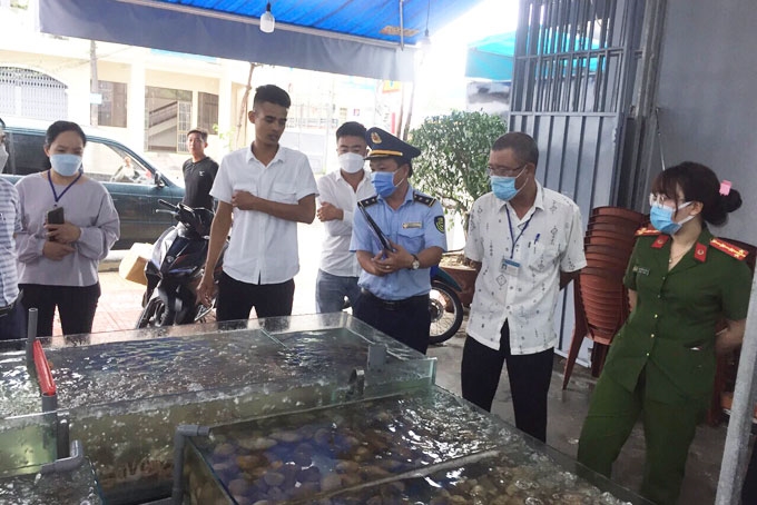 Hóa đơn hải sản 42,5 triệu đồng ở Nha Trang: Thực khách sẵn sàng làm 